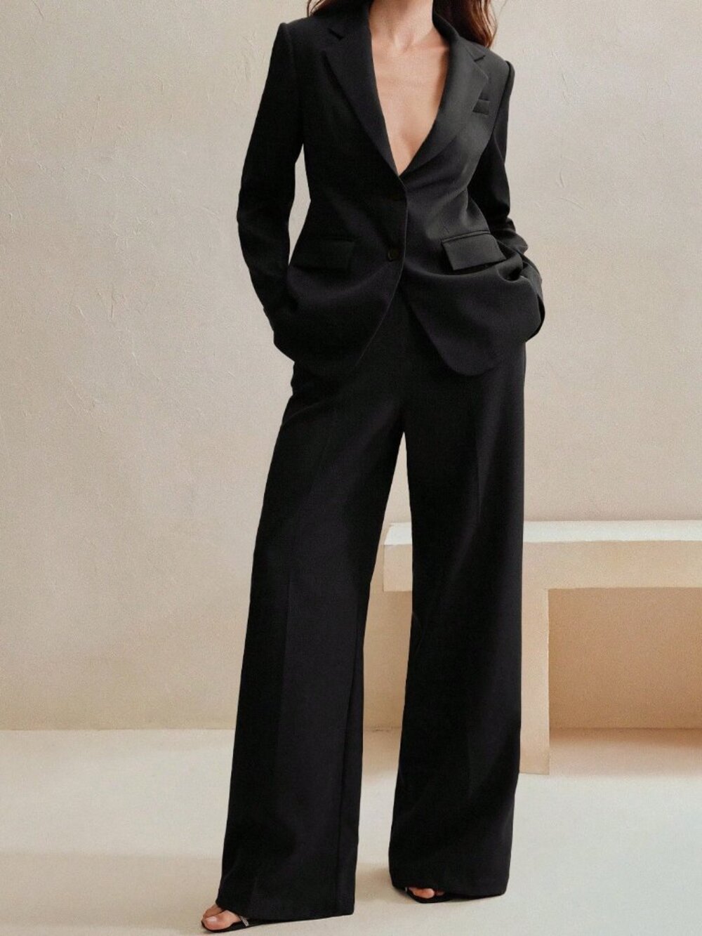 Black Elegant Women's Chic Regular Fit Lined Pants